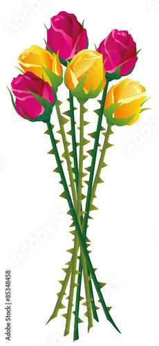 Roses with many thorns on their stalks. Isolated vector illustration on white background.