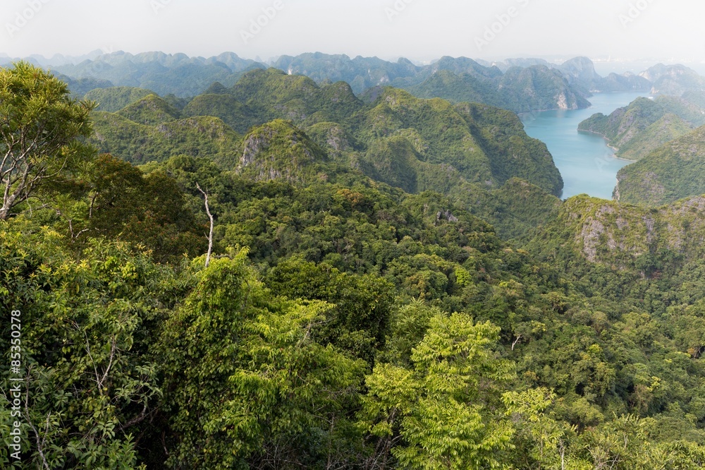 Fototapeta premium Halong bay archipelago