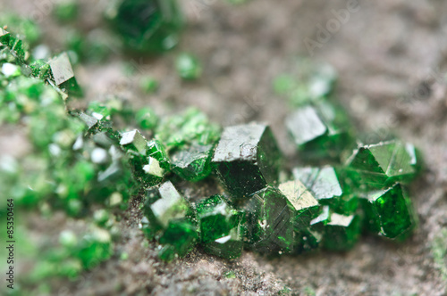 Uvarovite is a chromium-bearing garnet. Macro. photo