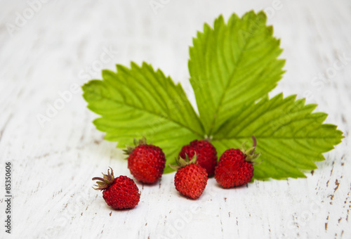 Wild strawberries