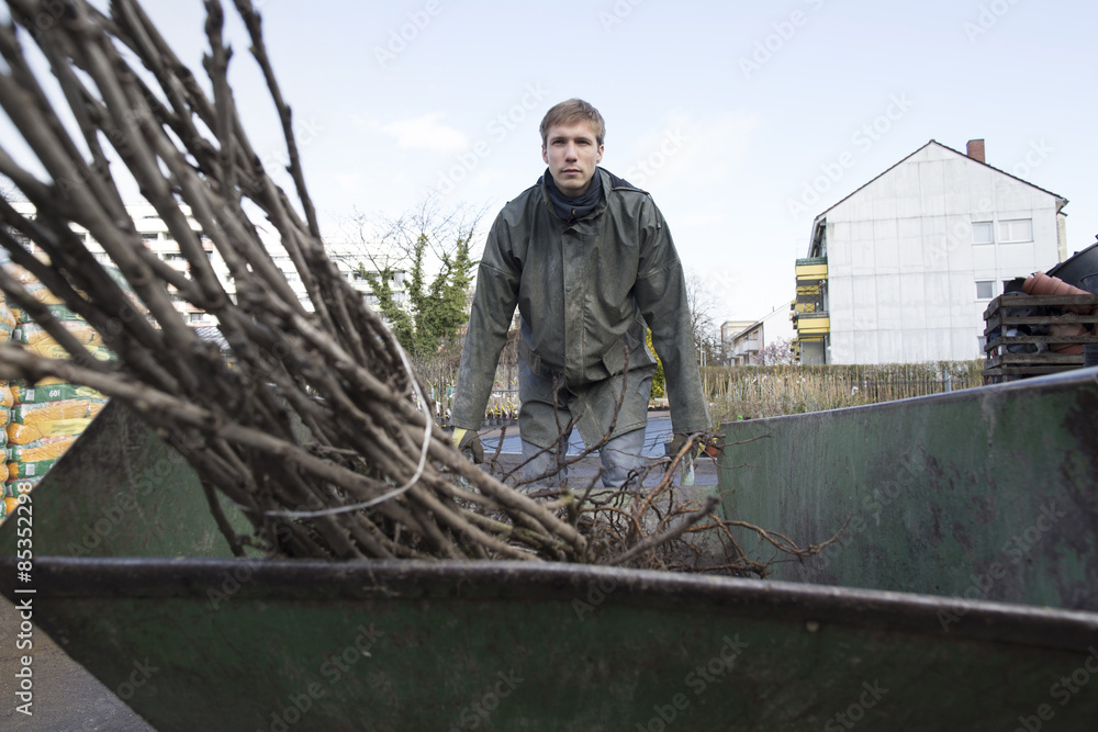 Young gardener at work, carrying shrub Young gardener at work, carrying shrub