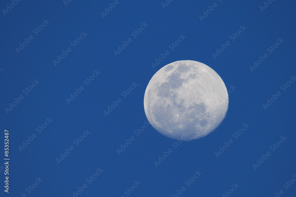 Big moon in a night blue sky