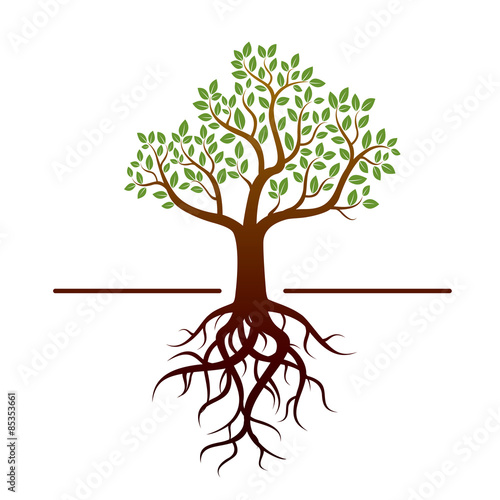 Vector tree with green leafs and roots