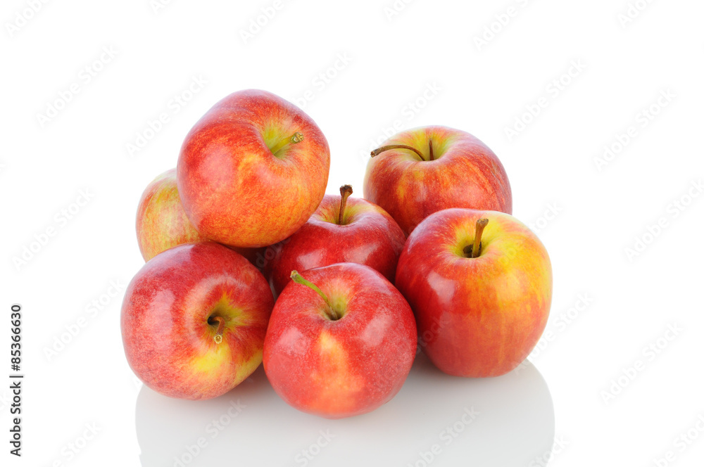 Gala Apples on White Gala Apples on White