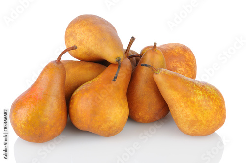 Pile of Bosc  Pears