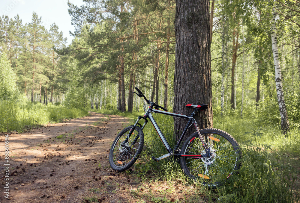 Bike in forest side view