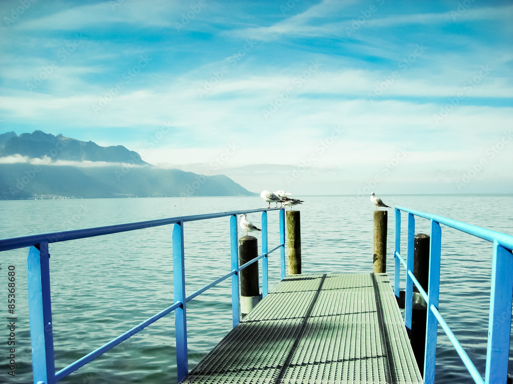 Obraz premium Gaviotas en Lago Leman