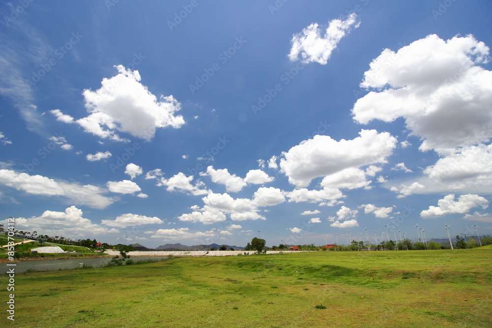 beautiful morning light in public park with green grass field and green fresh tree plant perspective to copy space for multipurpose beautiful morning light in public park with green grass field and green fresh tree plant perspective to copy space for multipurpose