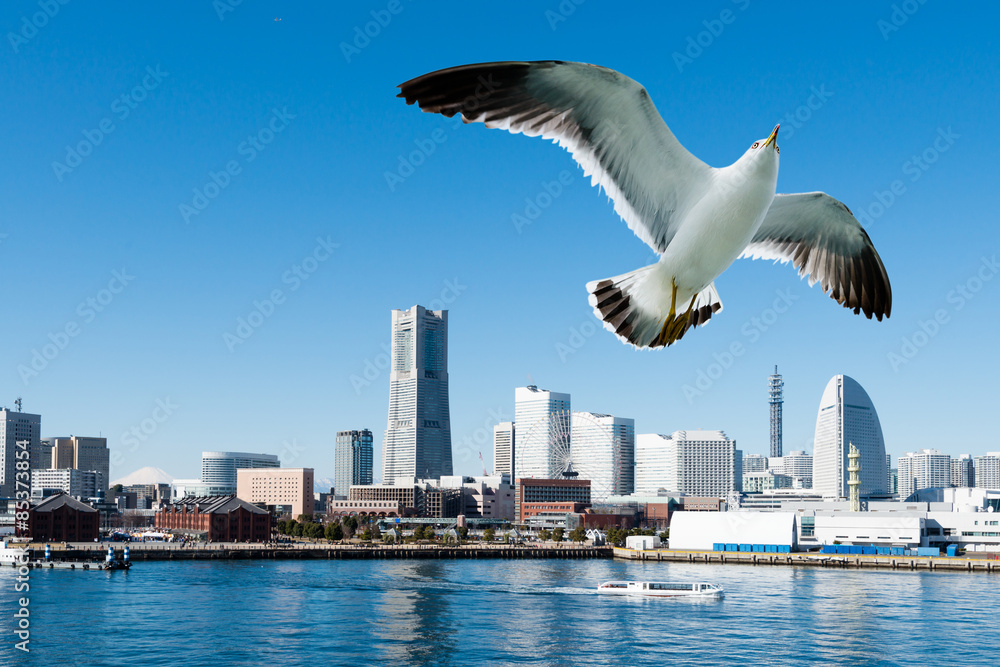Obraz premium Yokohama Minato Mirai i Seagulls