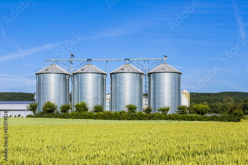four silver silos in field under bright sky photo