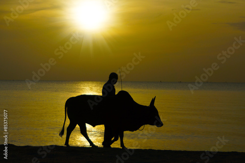 Silhouettes man and bull. Exercise on the beach. © noppharat