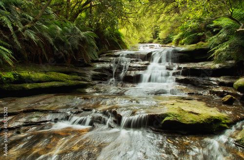 Leura Cascades in the Blue Mountains National Park  Australia