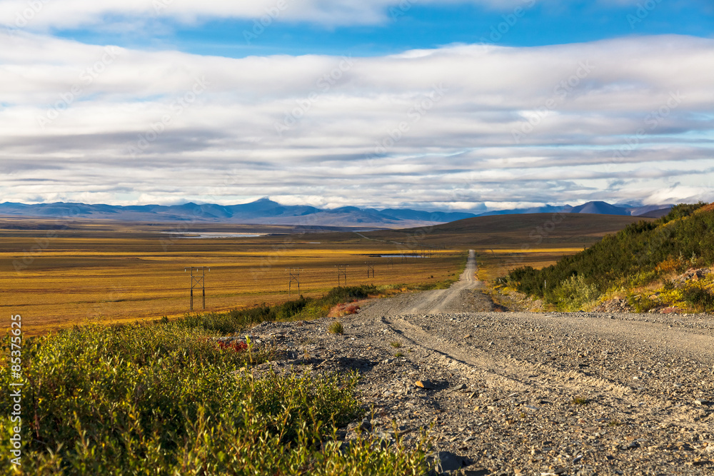 Road through Tundra Road through Tundra