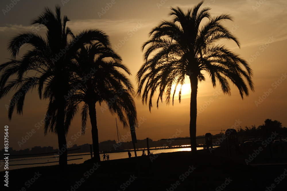 Obraz premium Siluetas de las palmeras de la playa grande de Roses, Costa Brava