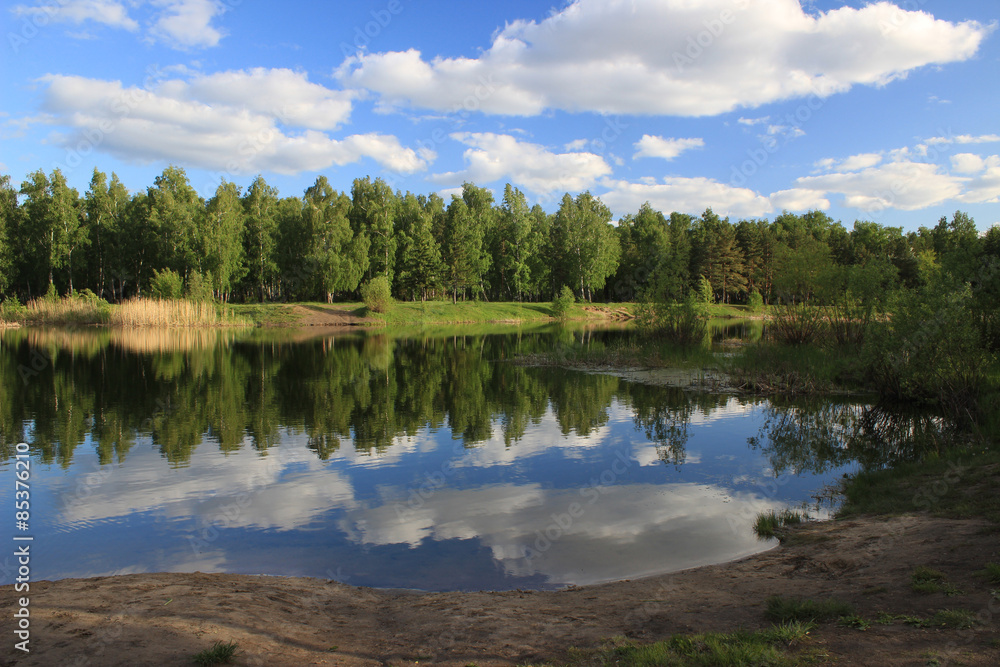 Summer landscape - pond in the park