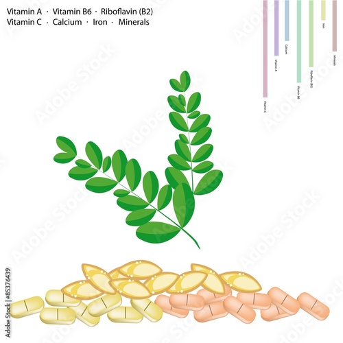 Moringa Leaves with Vitamin A, B6, B2 and C