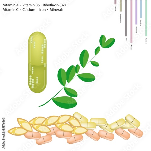Fresh Moringa Leaves with Vitamin A, B6, B2 and C