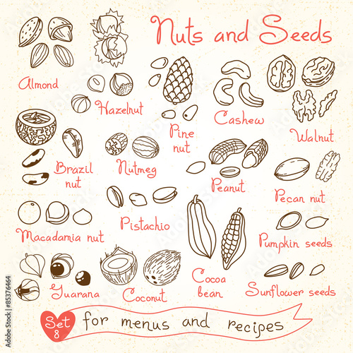Set drawings of nuts and seeds for design menus, recipes
