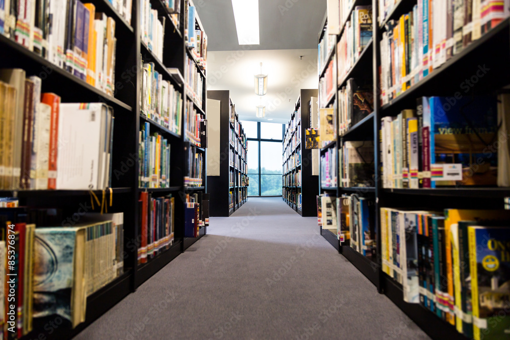 Library book shelf aisles with focus on window with ambient greenery Library book shelf aisles with focus on window with ambient greenery