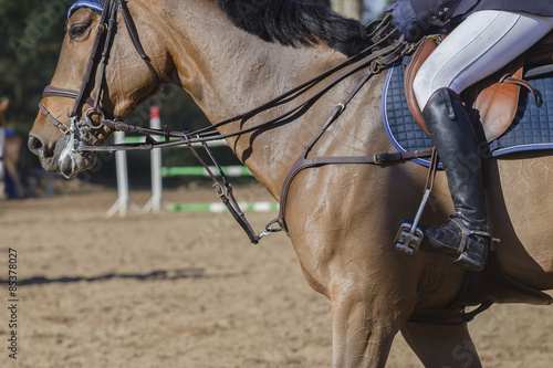 Horse Show Jumping closeup unidentified riders boot saddle reins detail. © ChrisVanLennepPhoto