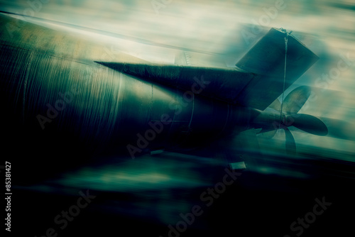 Canvas Print deep fight - blurred style photo