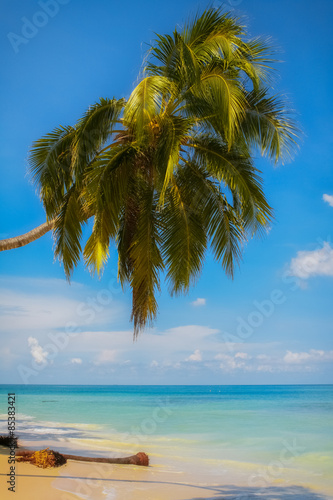 Fototapeta Naklejka Na Ścianę i Meble -  View of a tropical beach scene