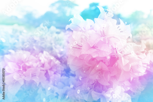 flower made by color filter for background