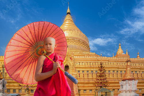 Little novive and golden pagoda photo
