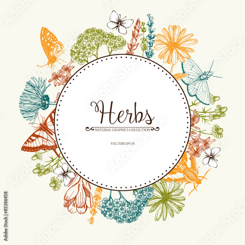 Vintage card design with ink hand drawn medicinal herbs, plants and butterfly sketch. Herbal background with decorative butterflies.