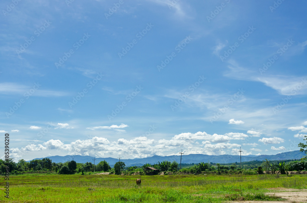 general landscape views and blue sky
