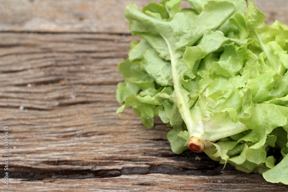 Cos Lettuce, green on wood background Cos Lettuce, green on wood background