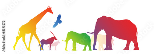 animali, zoo, natura