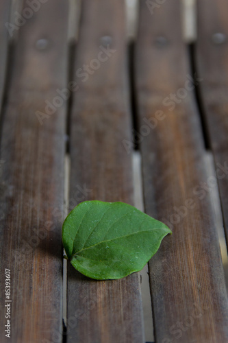 Vertical picture of a green leaf on bamboo slat floor.