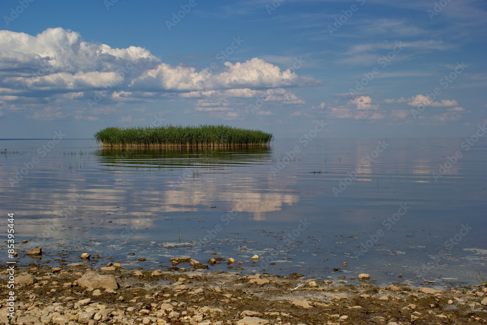 reed island, lake Peipsi/Peipus, Estonia