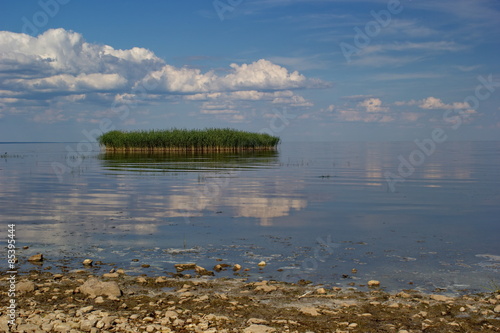 reed island, lake Peipsi/Peipus, Estonia photo