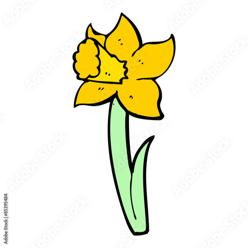 cartoon daffodil