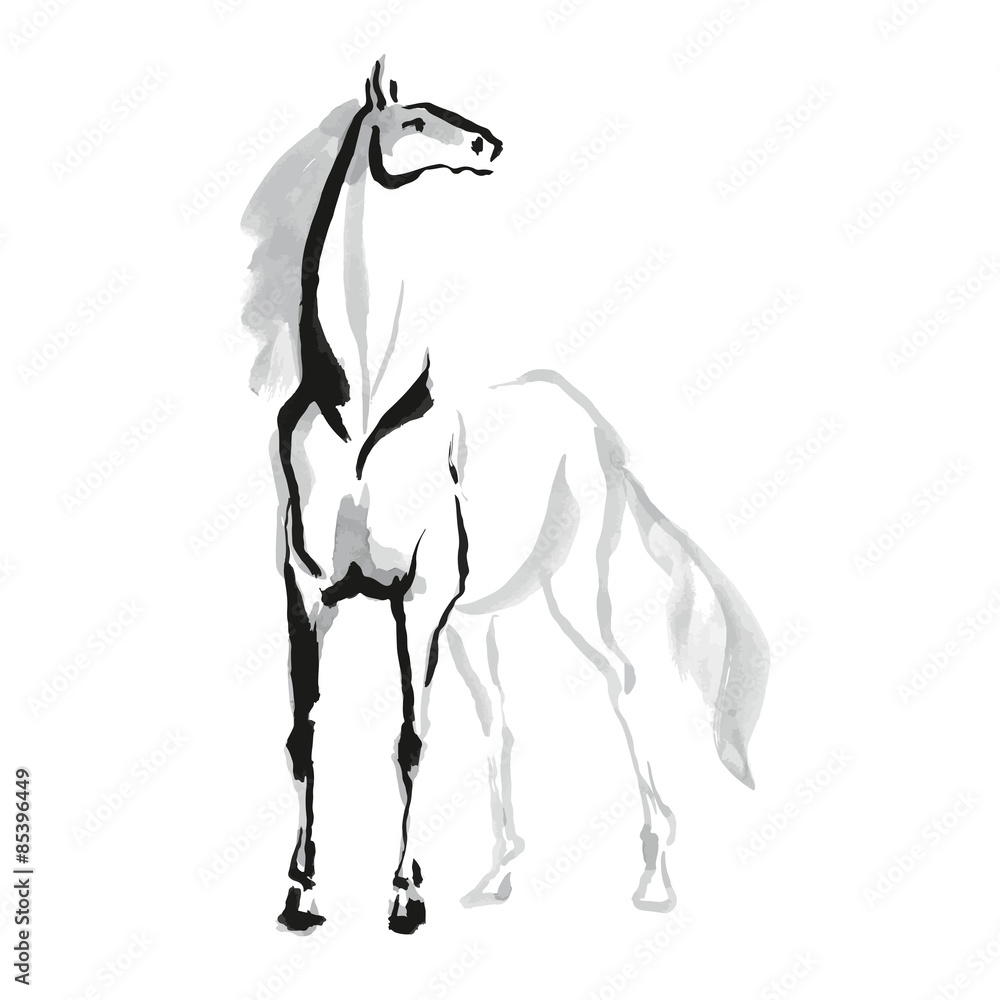 Obraz premium Horse sketh