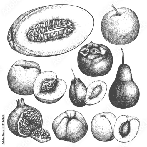 Vector collection of ink hand drawn fruits sketch for kitchen and restaurant design. Vintage colorful fruit illustration for vegetarian food.