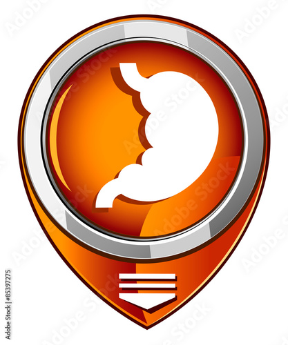 Human organ. Stomach. Orange pointer