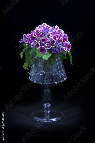 Fototapeta Naklejka Na Ścianę i Meble -  Beatiful flower composition on a black background