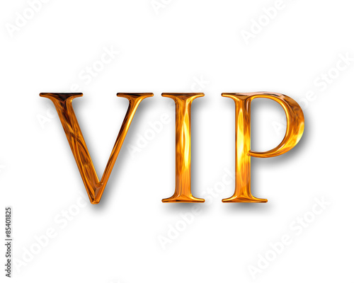 Very important person VIP
