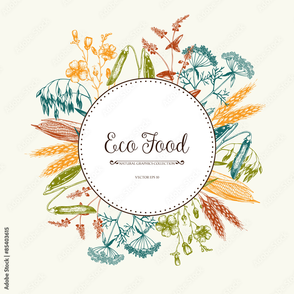 Vector Eco food card design with ink hand drawn agriculture plants sketch. Vintage farm plants illustration. Farm fresh background Vector Eco food card design with ink hand drawn agriculture plants sketch. Vintage farm plants illustration. Farm fresh background