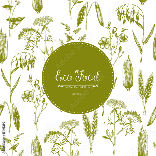 Vector seamless pattern with ink hand drawn agriculture plants sketch. Vintage farm plants illustration. Eco food background