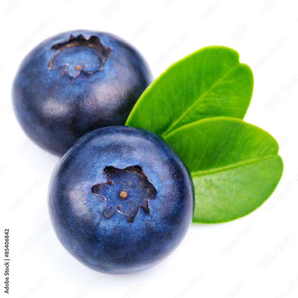 Obraz premium blueberries