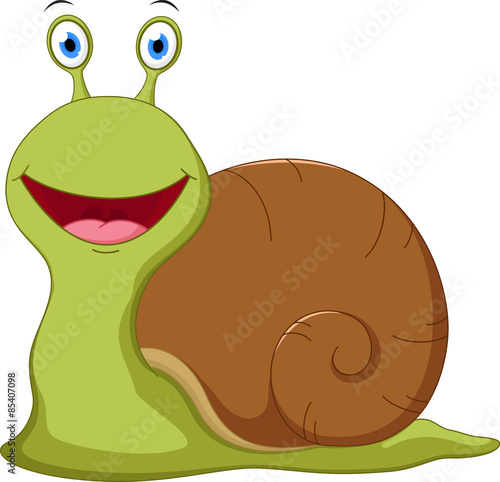 Cute snail cartoon 