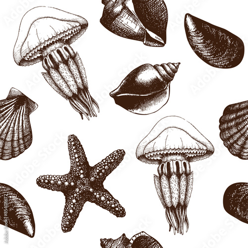 Vector seamless pattern with hand drawn sea shells, sea star and jellyfish sketch 