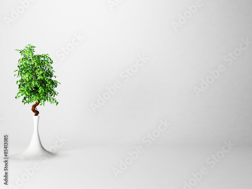 green plant in the vase