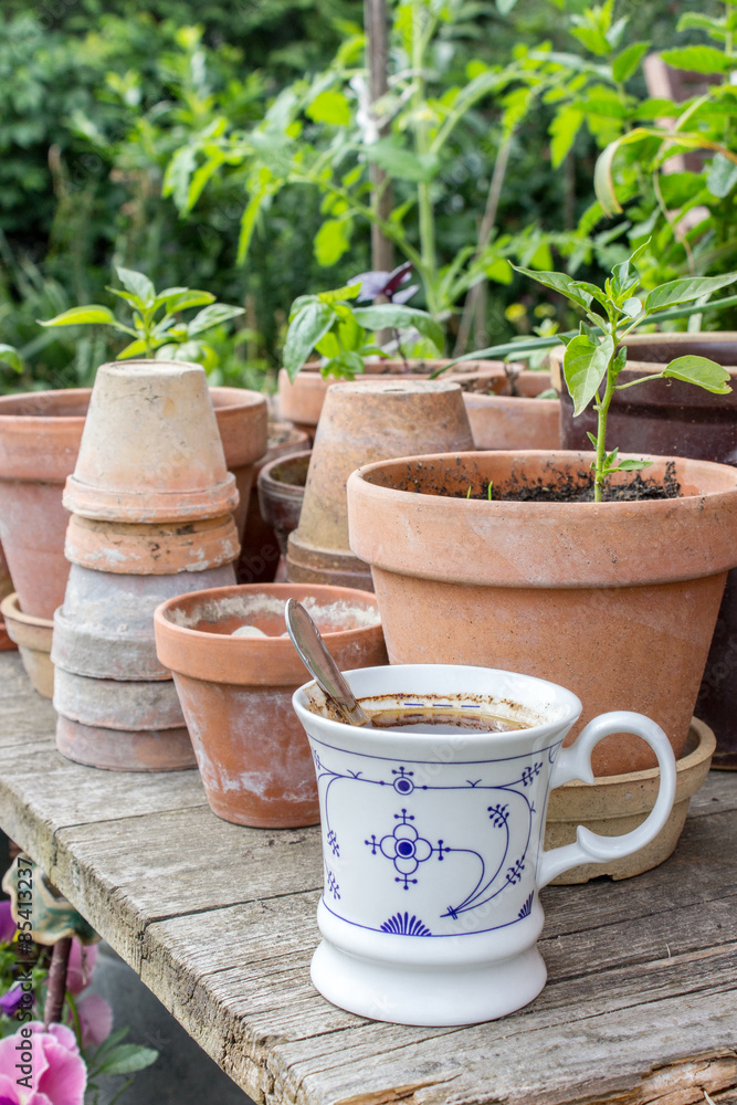 coffee break / Flower pots with herbs and vegetables and coffee cup on the garden table