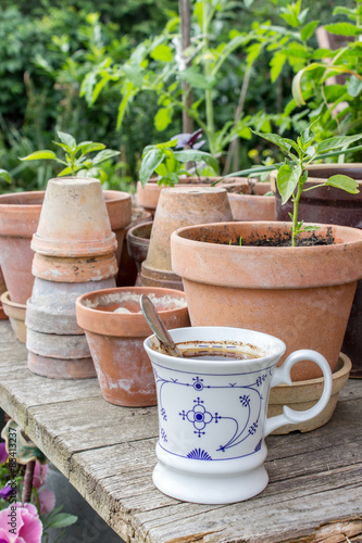 coffee break / Flower pots with herbs and vegetables and coffee cup on the garden table