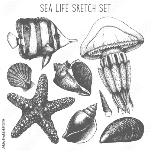 Vector set with hand drawn small fish, sea star, jellyfish and sea shell sketch